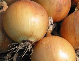 Поляновськакупити