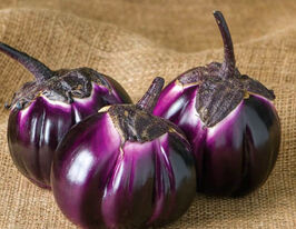 Баклажан Гелиос купить