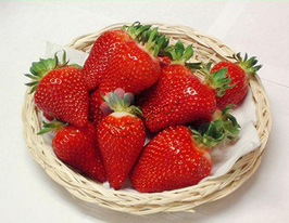 Полуниця Флеркупити