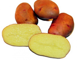 Глазурна 5 кгкупити