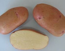 Тирас 5 кгкупити