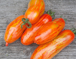 Безумство Касадікупити