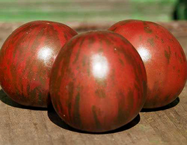 Томат Вел чорнийкупити