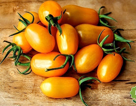 Томат Сладкий пальчик купить