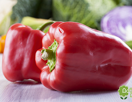 Шератон F1 купить