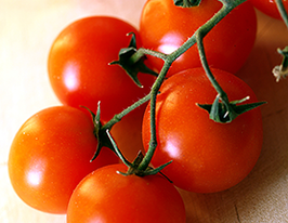 Абрикос купить