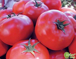 Малинове родеокупити