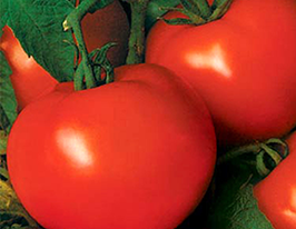 Мічуринецькупити