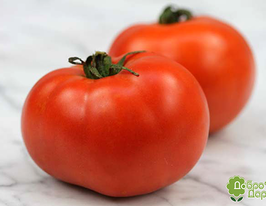 Рембиник купить