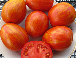 Томат Шаймен Криг купить