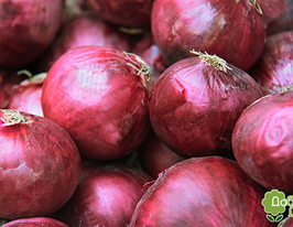 Августанакупити