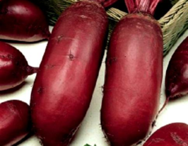 Атаман купить