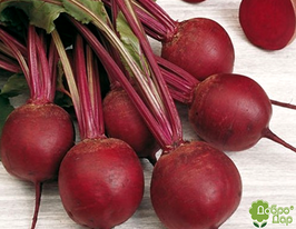 Кадет купить