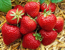 Полуниця  Аромаскупити