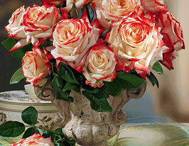 Троянда чайно-гібридна Імператриця Фарагкупити