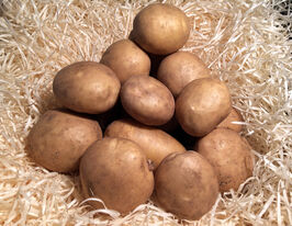 Картофель Чарунка купить