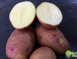 Картофель Ария купить