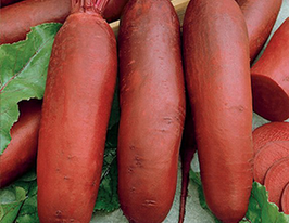 Ріваль по 5 пакетівкупити