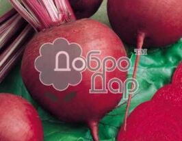Ноховская по 5 пакетов купить