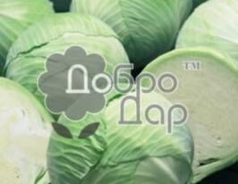 Лангедейкер Дауер по 5 пакетівкупити