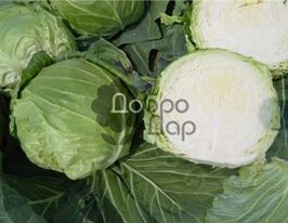 Лангедейкер Децема по 5 пакетівкупити