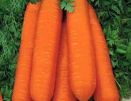 Берлікумер по 5 пакетівкупити