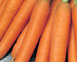 Перфекція по 5 пакетівкупити