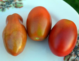 Сицилийский перчик купить