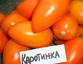 Каротинка купить
