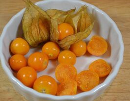 Физалис земляничный Нектар купить