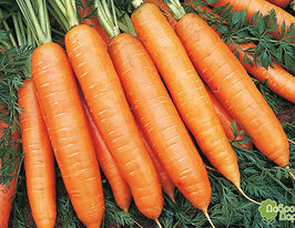 Карленакупити