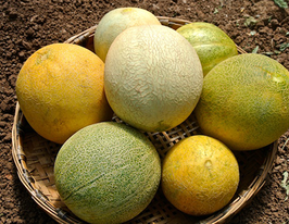 Суміш сортів динікупити