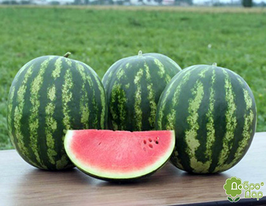 Крімстар F1купити