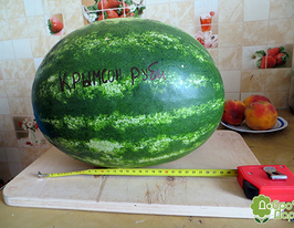 Кримсон Руби F1 купить