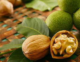 Горіх волоський Juglans regiaкупити