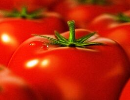 Томат Фавориткупити