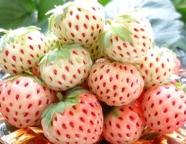 Пайнберрікупити