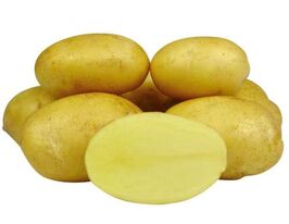 Картофель Королева Анна купить
