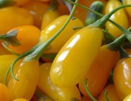 Годжі Амбер Світ (Amber Sweet)купити