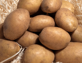 Картофель Партнер купить