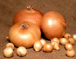 Лук Штутгартер Ризен купить