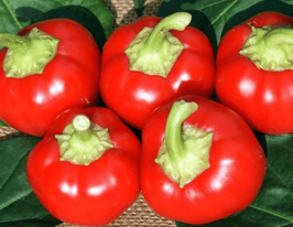 Перец сладкий Онтара купить