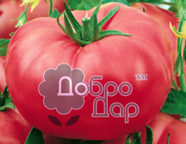 Томат Гроздь Гигант купить