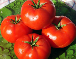 Томат Акулина купить
