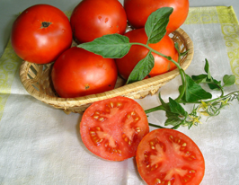 Томат Юнона купить