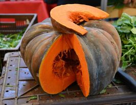 Гарбуз Зоря Сходукупити