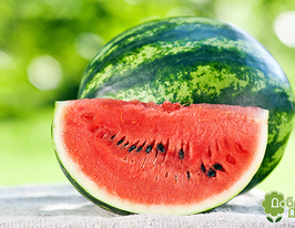 Кавун Казка F1купити