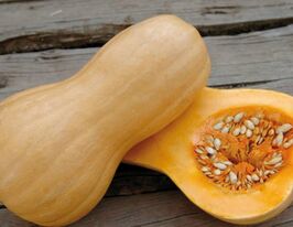 Тыква Матильда F1 купить