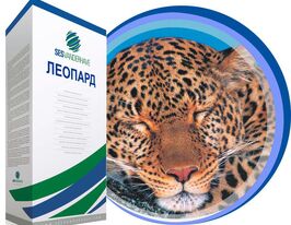 Свекла сахарная Леопард купить