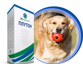 Свекла сахарная Плутон купить